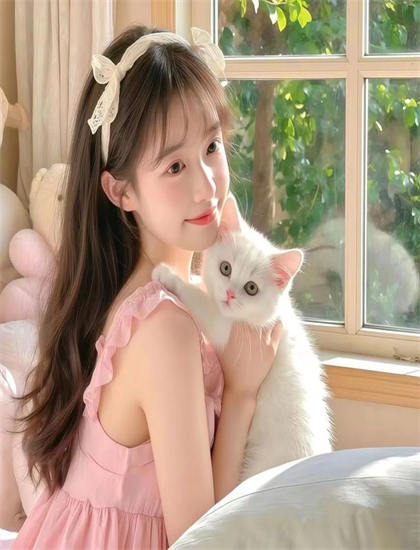 《姊夫我可以》评价对比惊艳四座的：专业影评与观众口碑差异