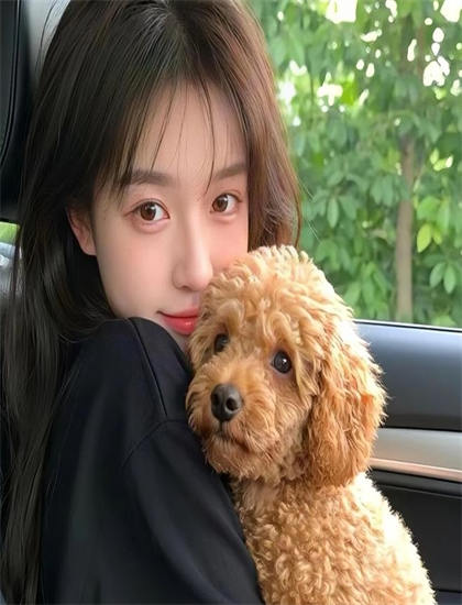 《萌犬好声音（英文）》评分测评：是否值得花时间观看的深度解构分析，修复重制